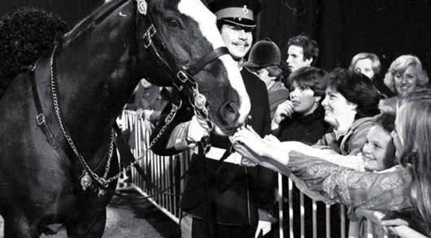 Sefton with rider